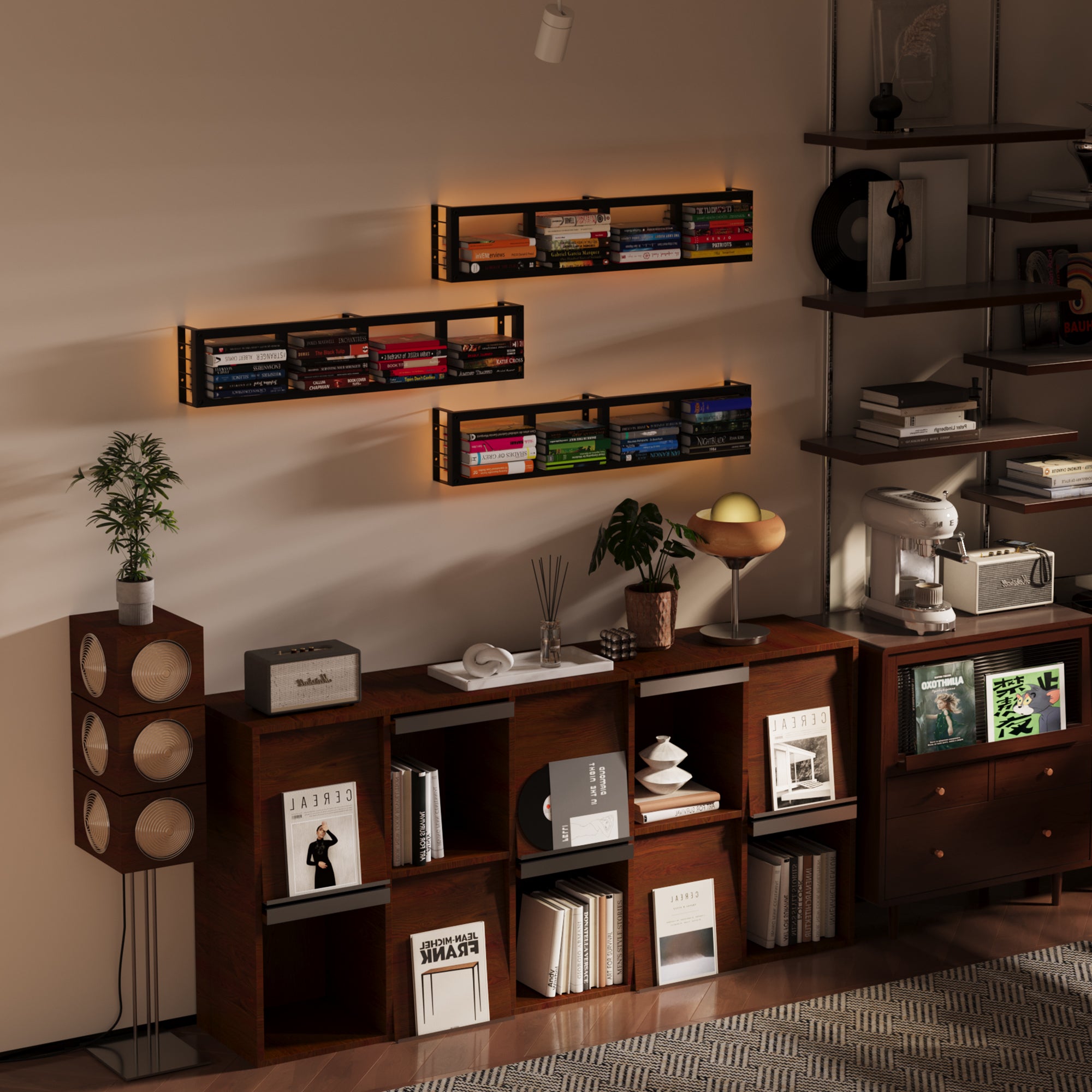 Advwin Wall-Mounted CD/DVD Shelf with LED