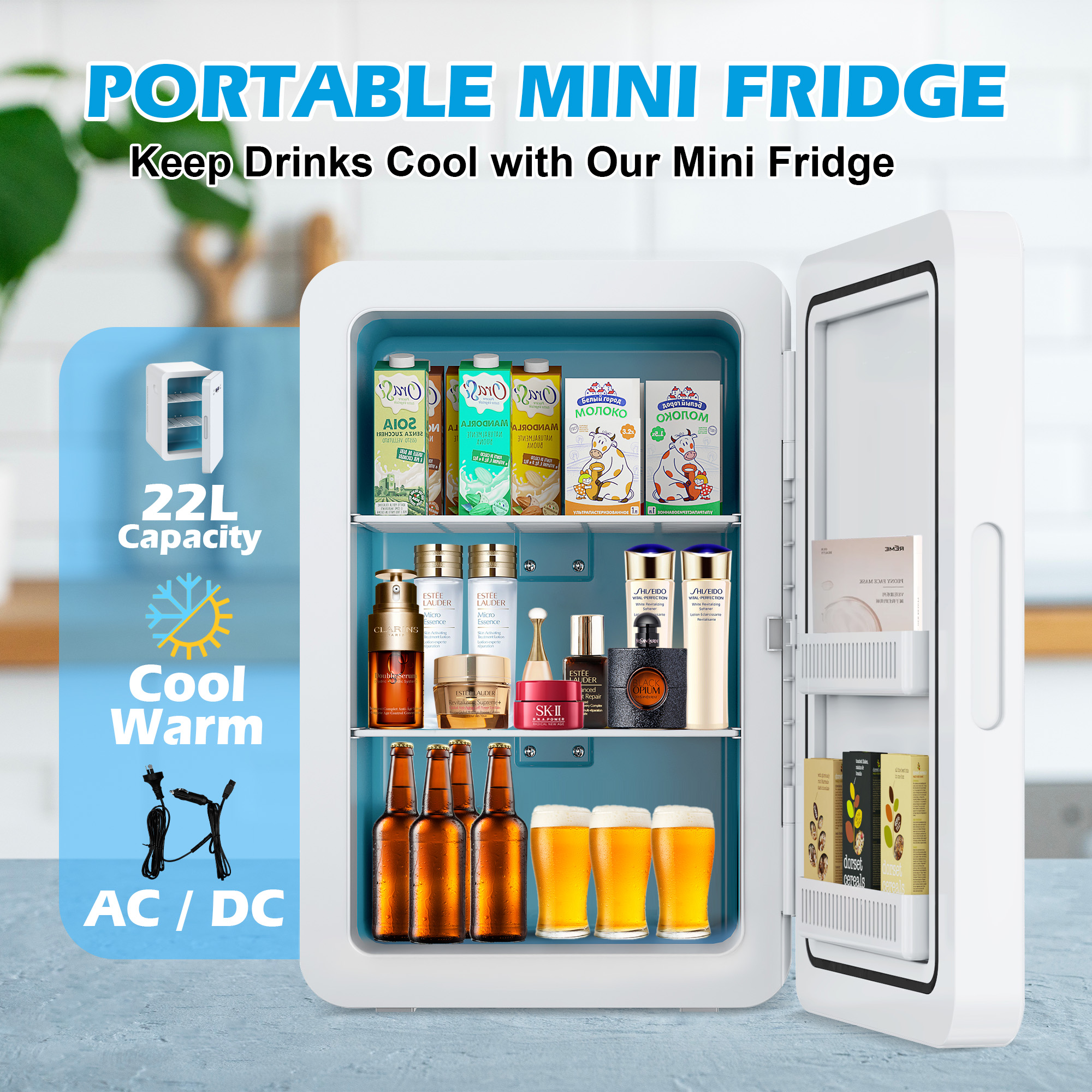 Advwin 22L Mini Fridge with Temperature Control