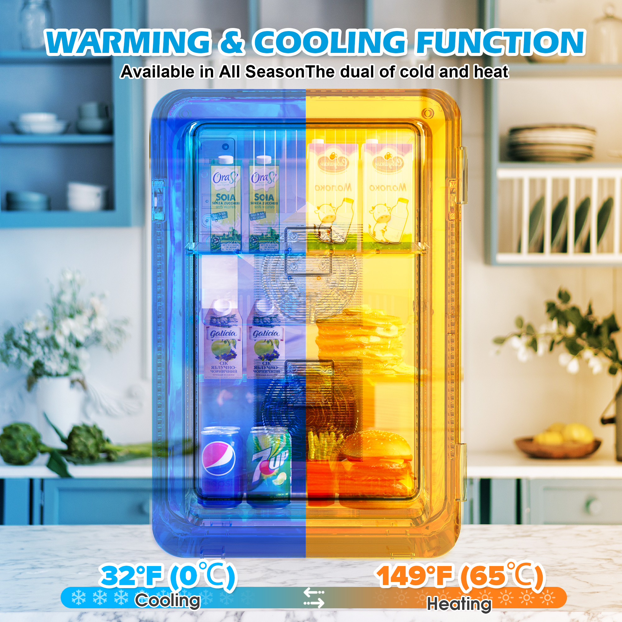 Advwin 22L Mini Fridge with Temperature Control