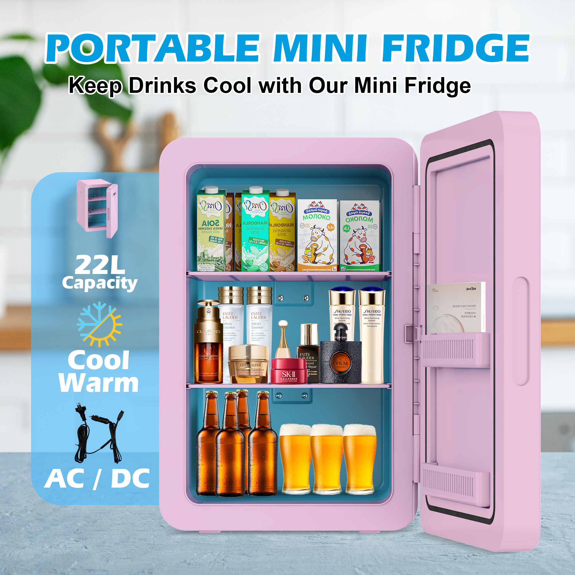 Advwin 22L Mini Fridge with Temperature Control