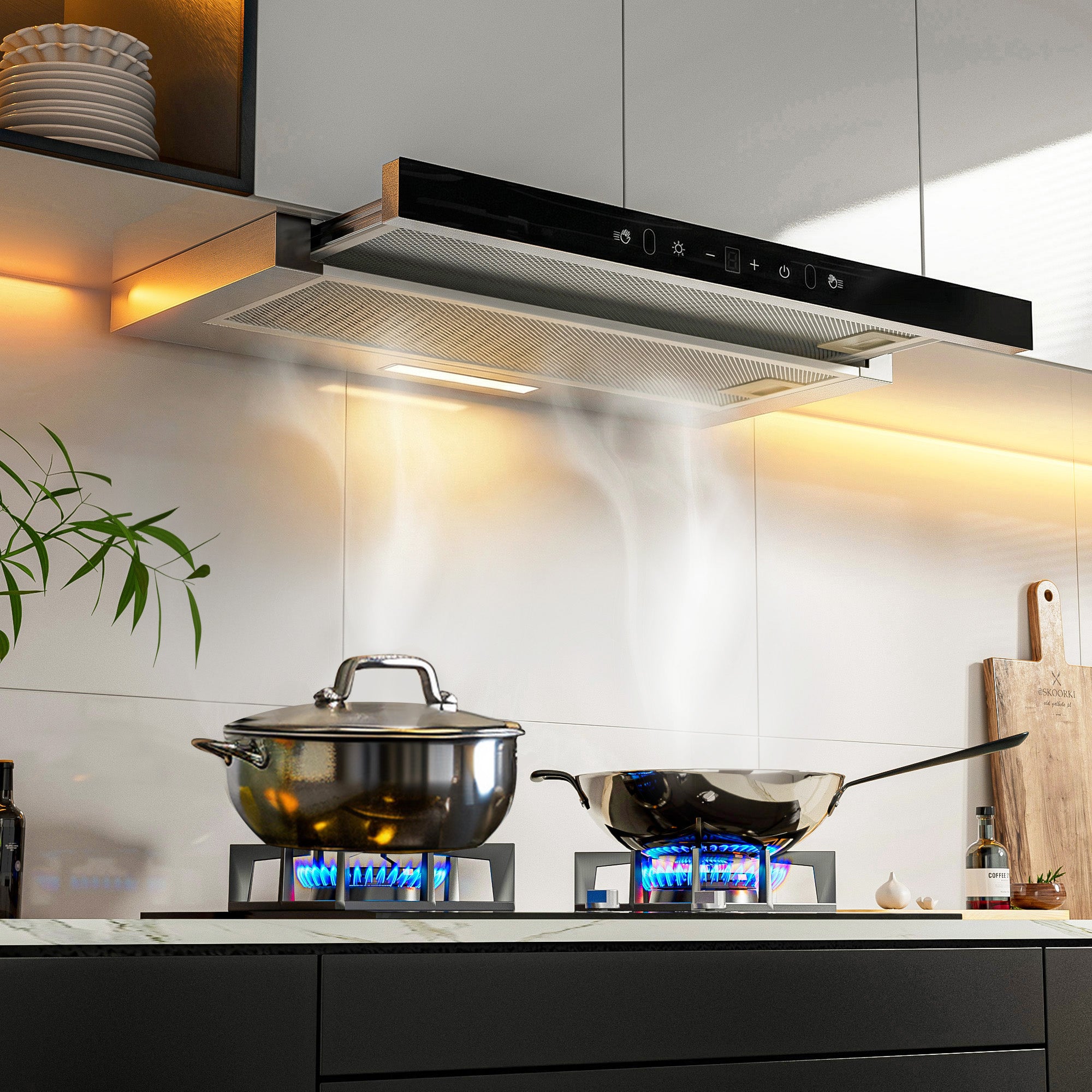 Advwin 30 Inch Range Hood w/ Hidden Pull-out Panel