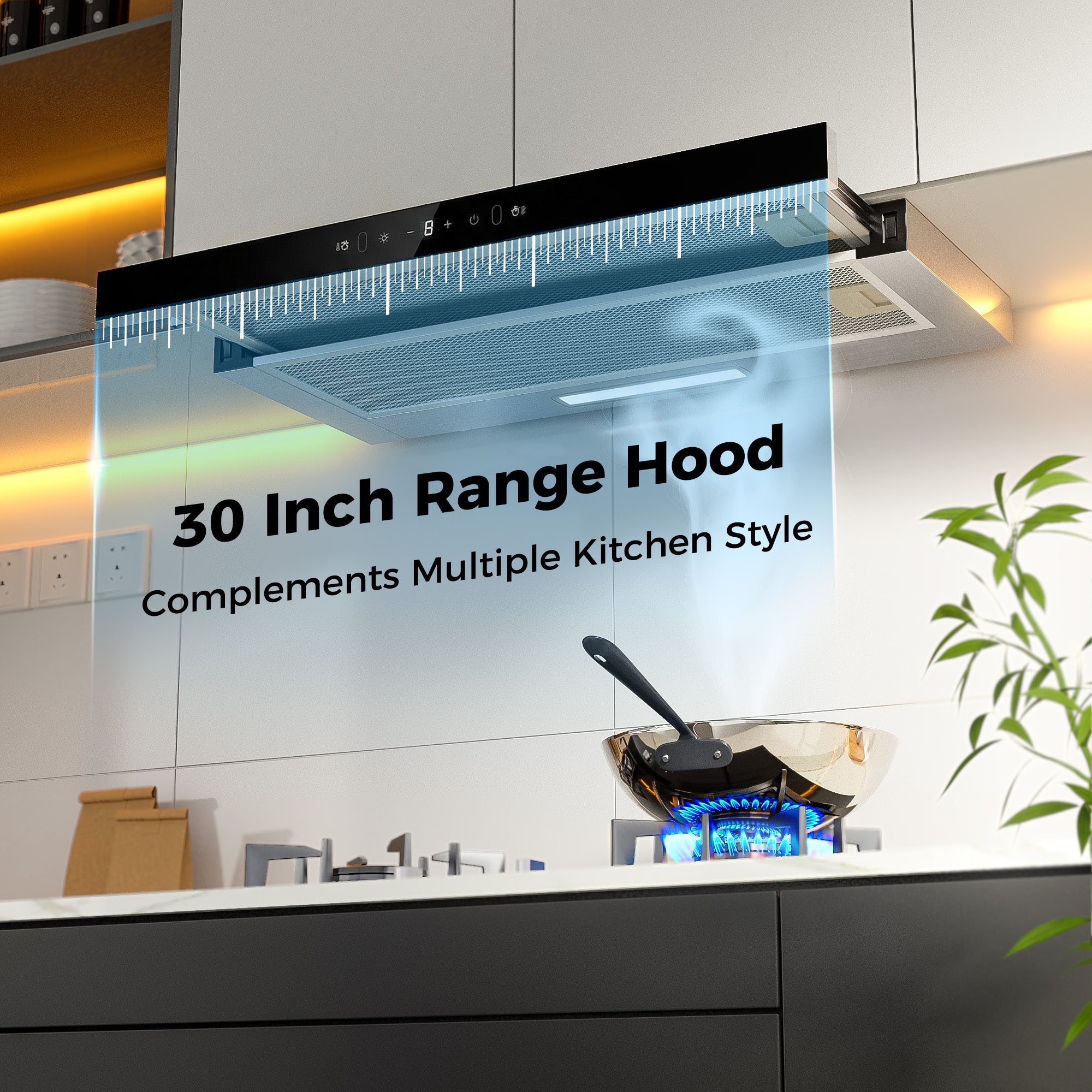Advwin 30 Inch Range Hood w/ Hidden Pull-out Panel