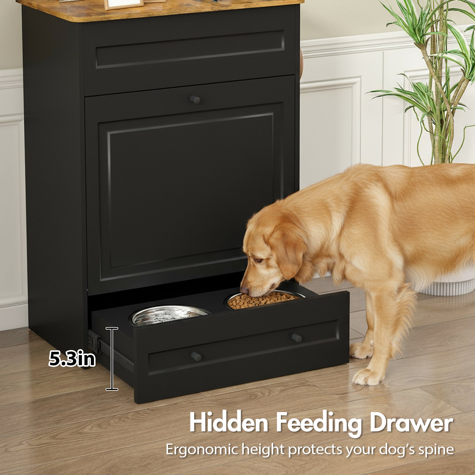 Advwin All-in-One Pet Feeding Cabinet